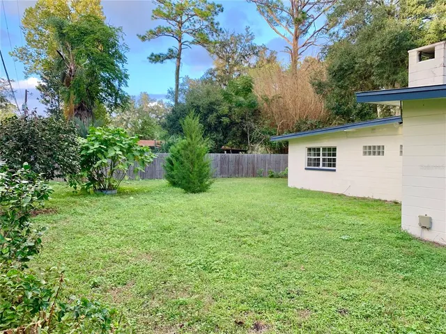 a backyard of a house with plants and large tree