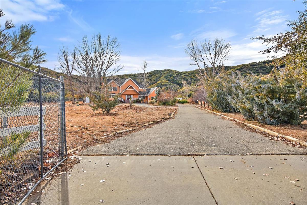 59911 Hop Patch Spring Road Mountain Center, CA 92561 - Photo 2 of 42 a view of a yard with a tree
