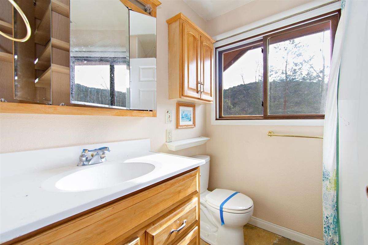 59911 Hop Patch Spring Road Mountain Center, CA 92561 - Photo 19 of 42 a bathroom with a sink a toilet and a window
