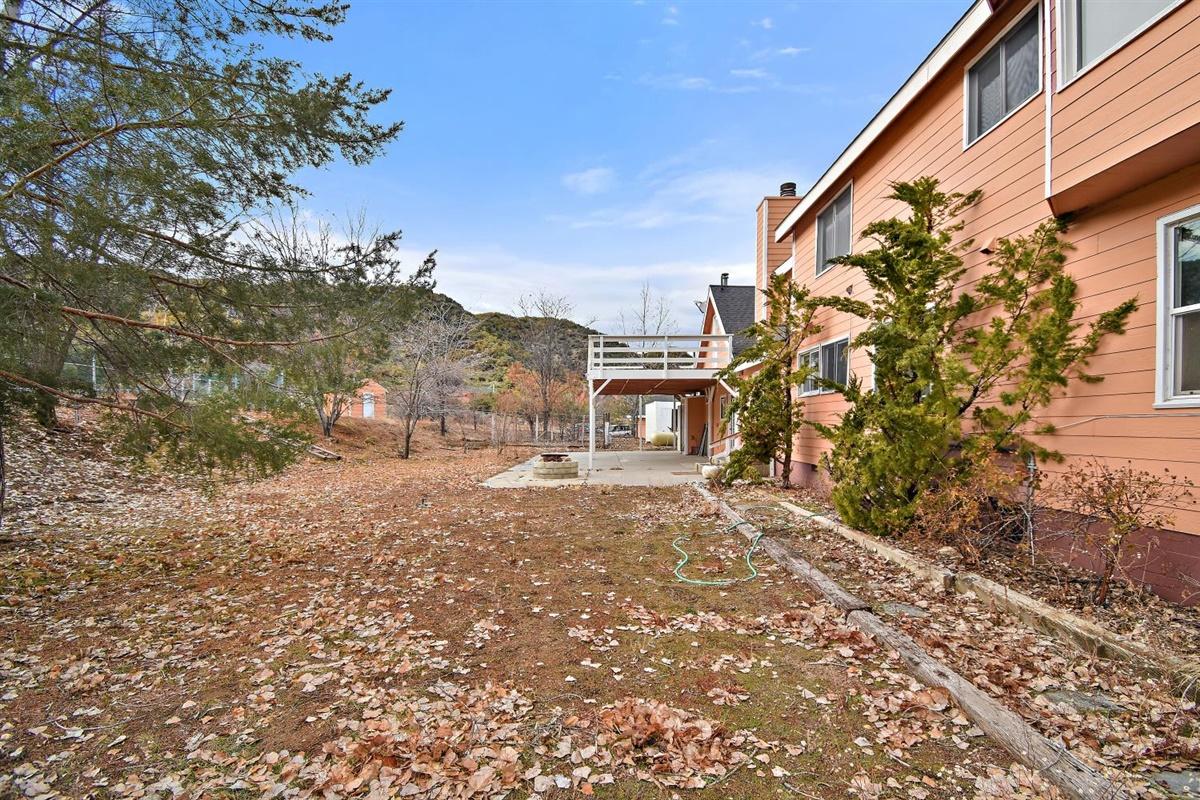 59911 Hop Patch Spring Road Mountain Center, CA 92561 - Photo 28 of 42 a view of a yard with a tree