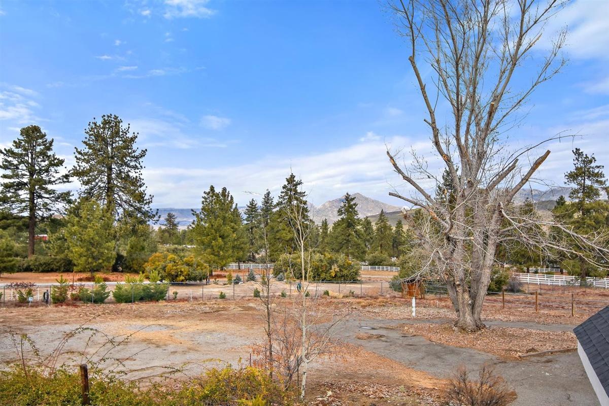 59911 Hop Patch Spring Road Mountain Center, CA 92561 - Photo 35 of 42 a view of a yard with snow on the road