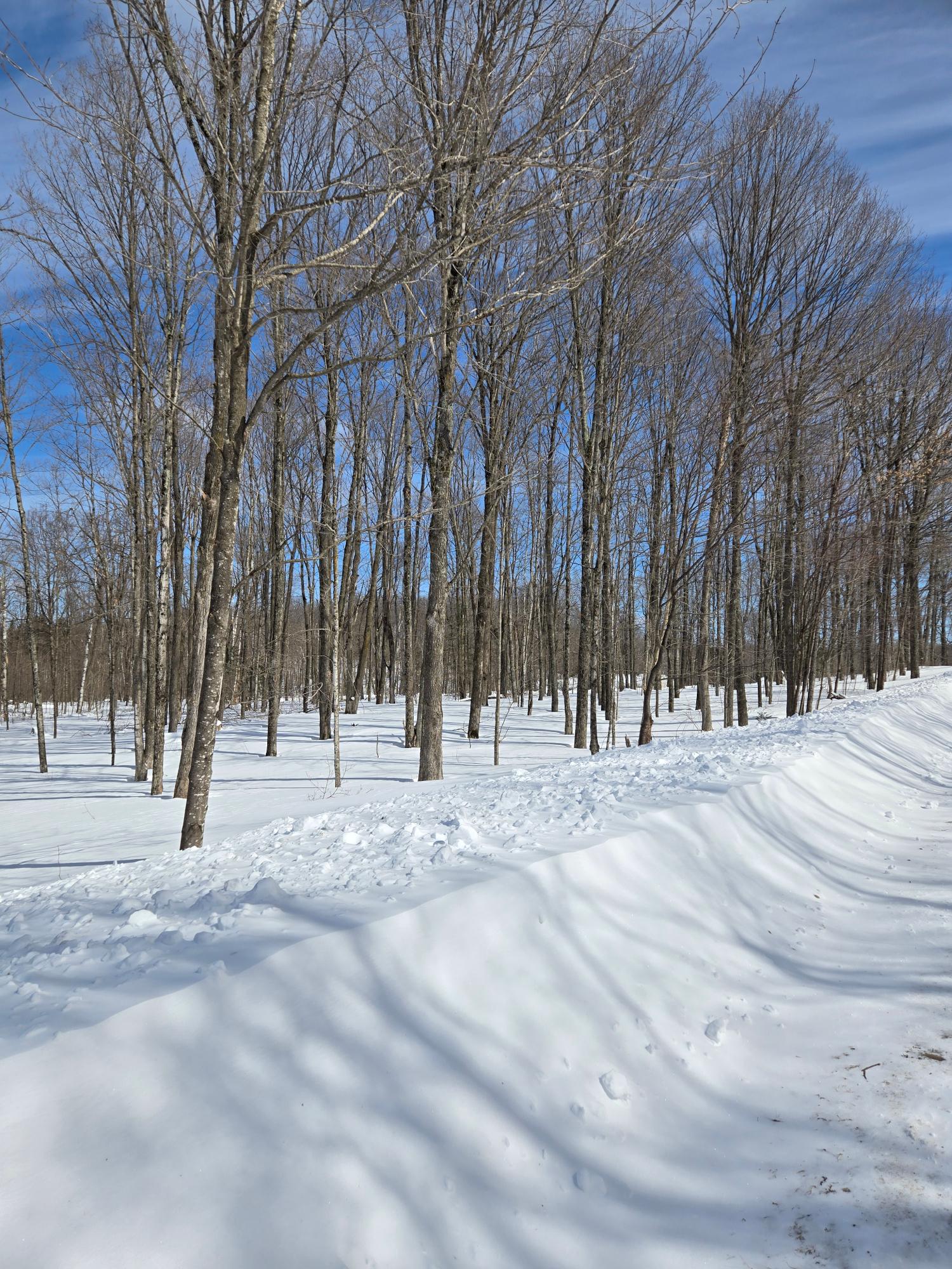 Lot #11 Kentwoods Road Bryant, WI 54418 - Photo 1 of 5 Gallery Image 1