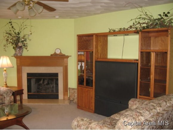 2409 Glencoe Drive Springfield, IL 62704 - Photo 3 of 18