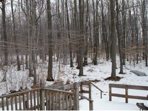 570 Jackson Hill Road Greene, NY 13778 - Photo 6 of 12 Gallery Image 6