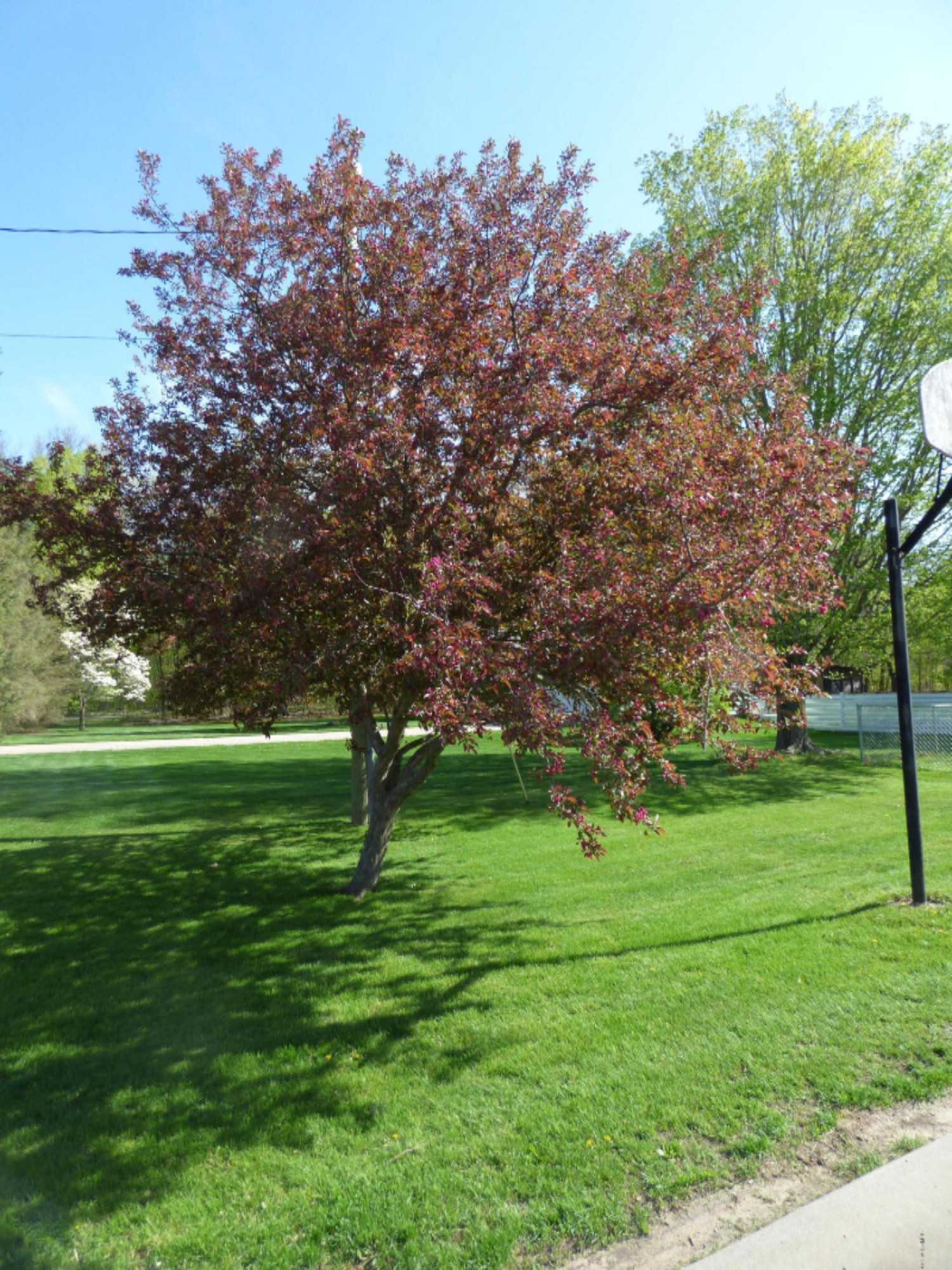 70907 Brush Road Niles, MI 49120 - Photo 4 of 32 P1060783
