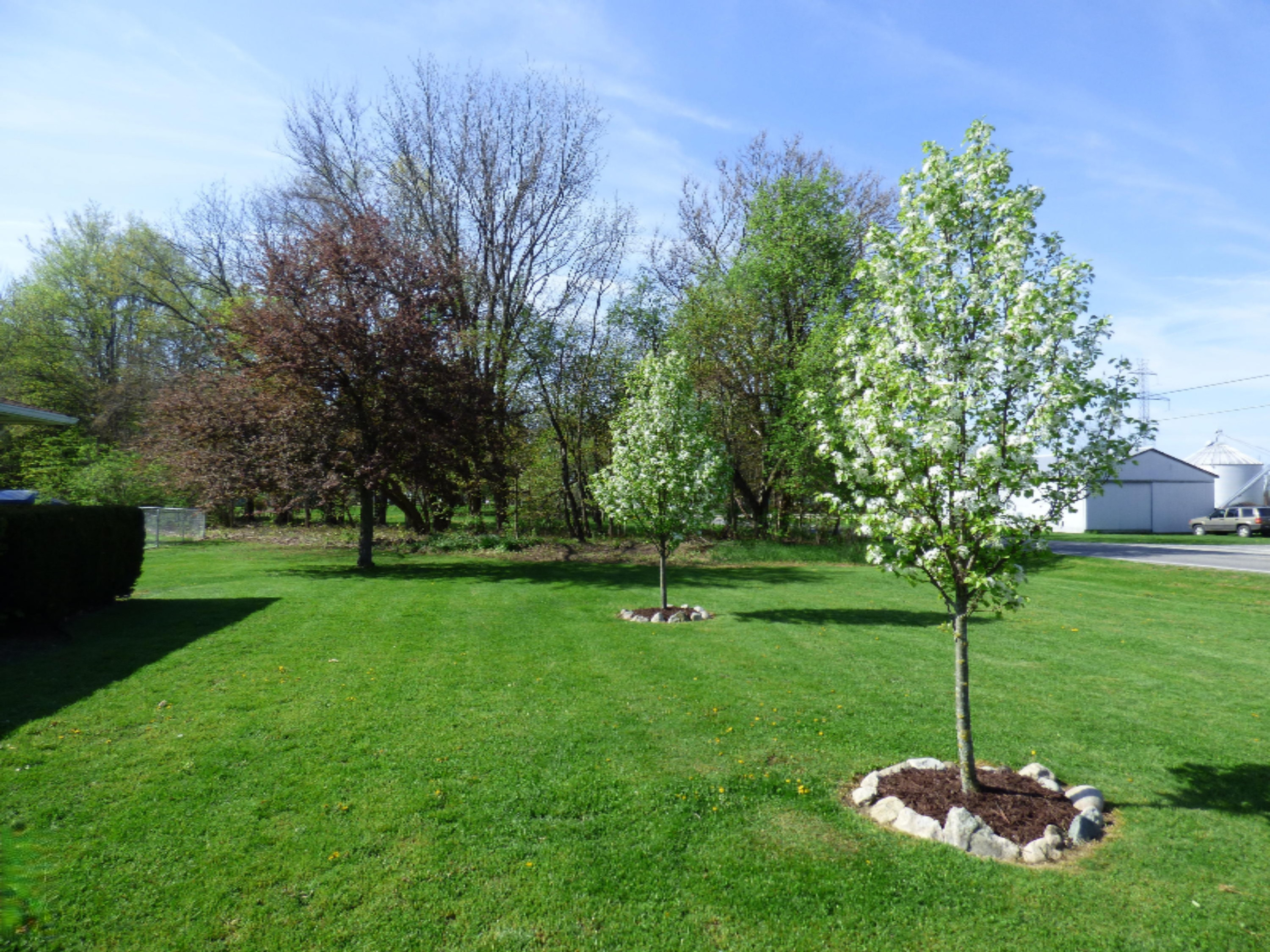 70907 Brush Road Niles, MI 49120 - Photo 8 of 32 P1060784