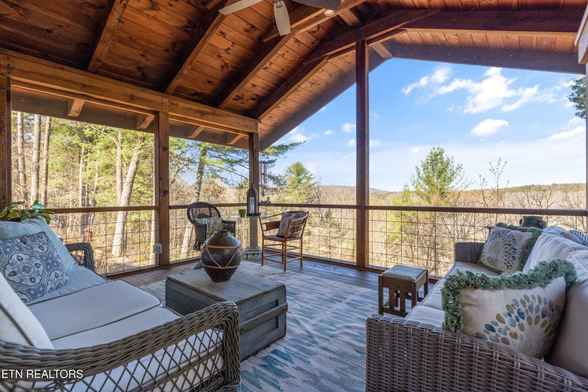 151 Gold Miners Road Tellico Plains, TN 37385 - Photo 3 of 58 Gallery Image 3