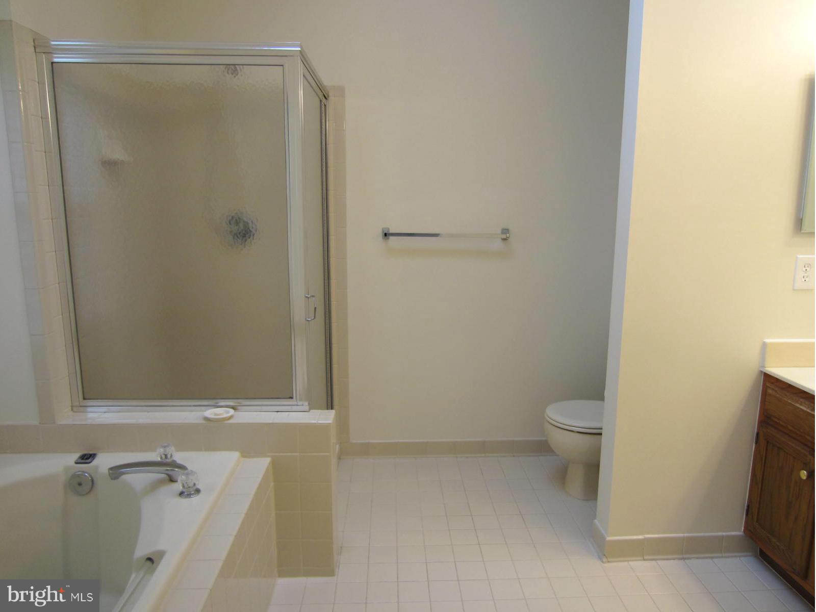 6504 Castine Lane Springfield, VA 22150 - Photo 15 of 29 Bath (Master)