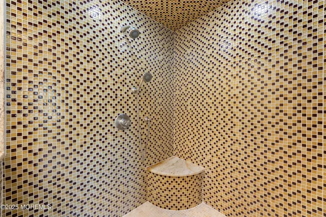 a bathroom with a shower and a toilet