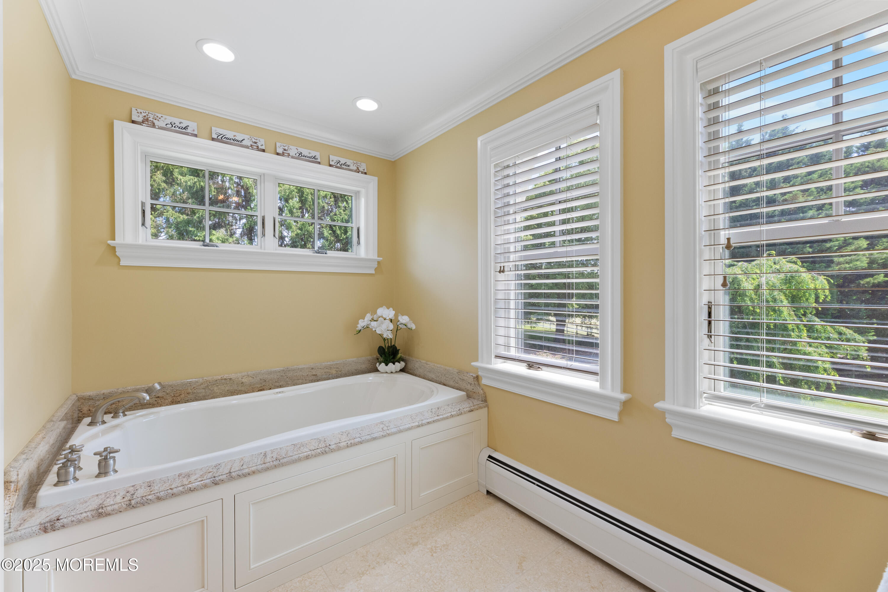 13 Indian Path Millstone Township, NJ 08535 - Photo 36 of 67 a bathroom with a bathtub and next to a window