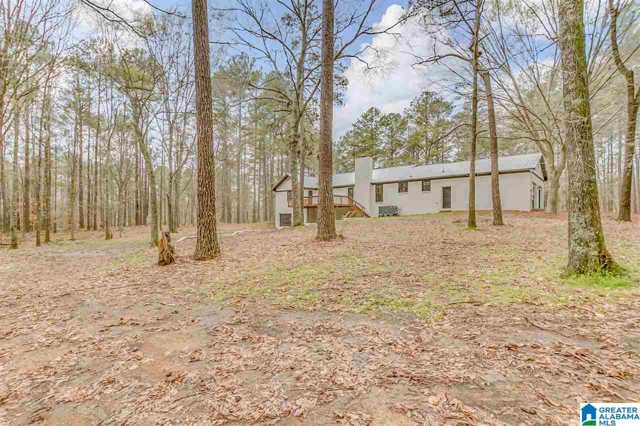 6150 Chelsea Road Columbiana, AL 35051 - Photo 40 of 50