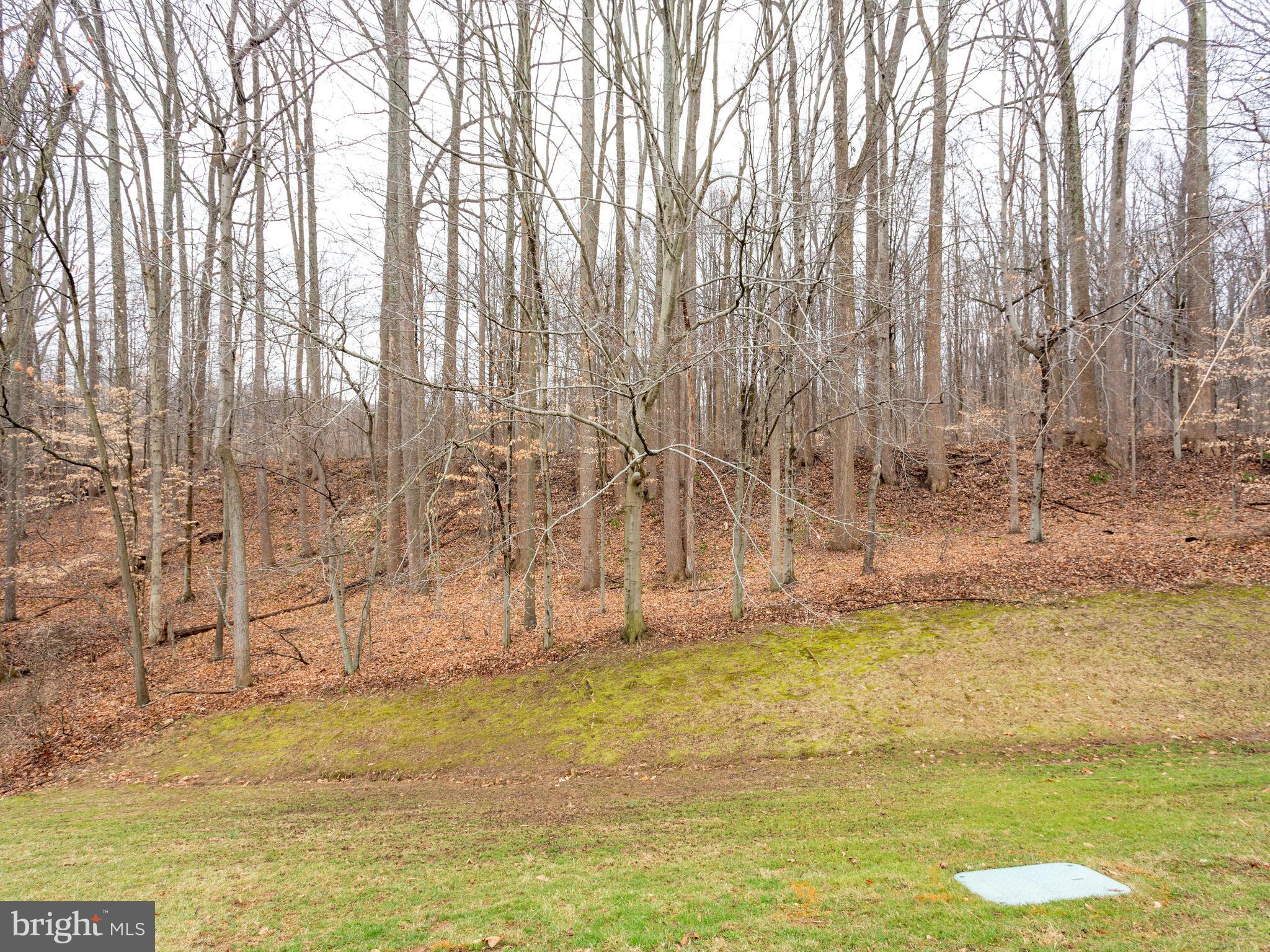 5523 Miles Court Springfield, VA 22151 - Photo 22 of 23 Backyard Faces Woodline and Path