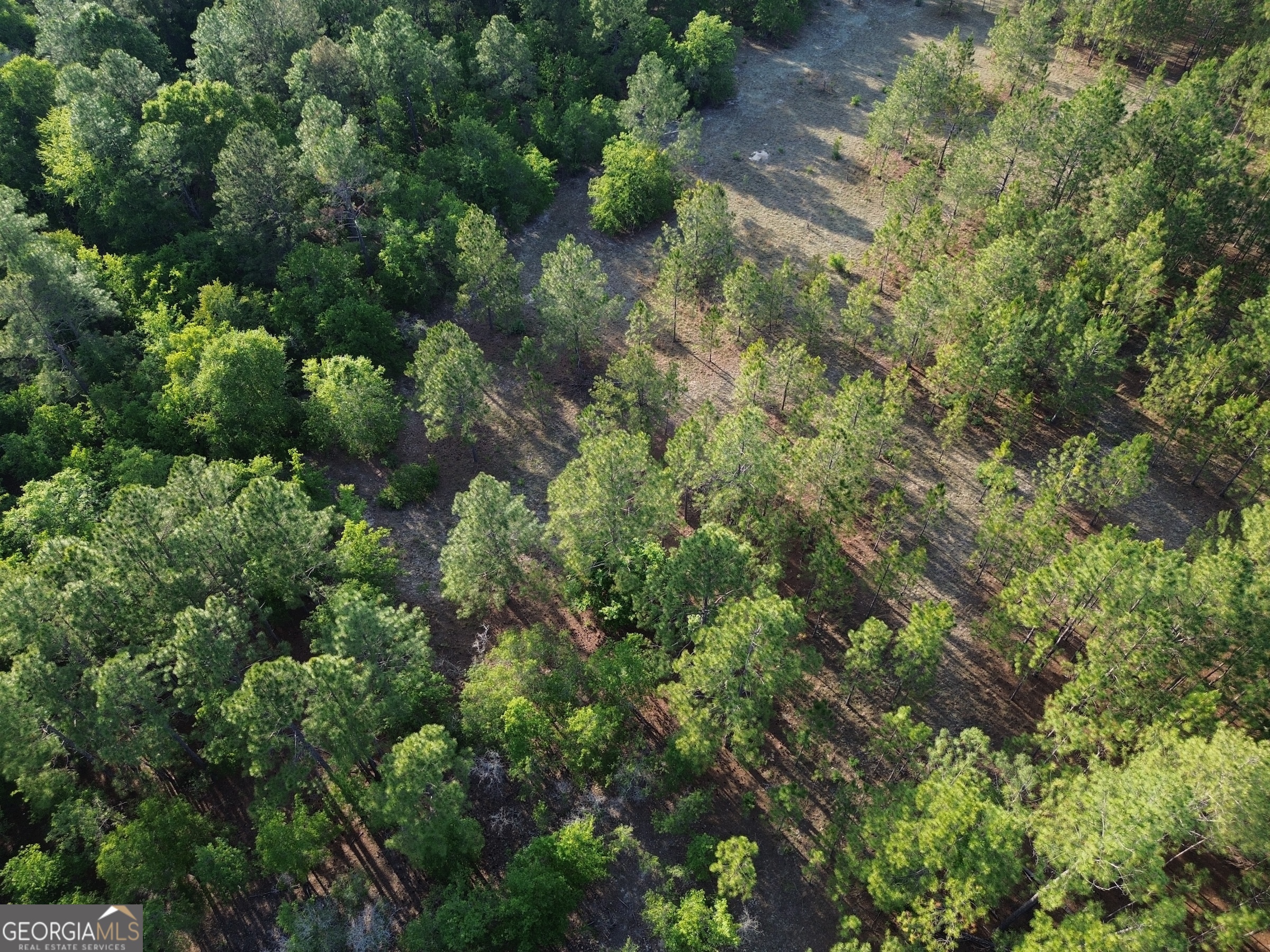 3570 William Dennis Road McRae-Helena, GA 31037 - Photo 8 of 23