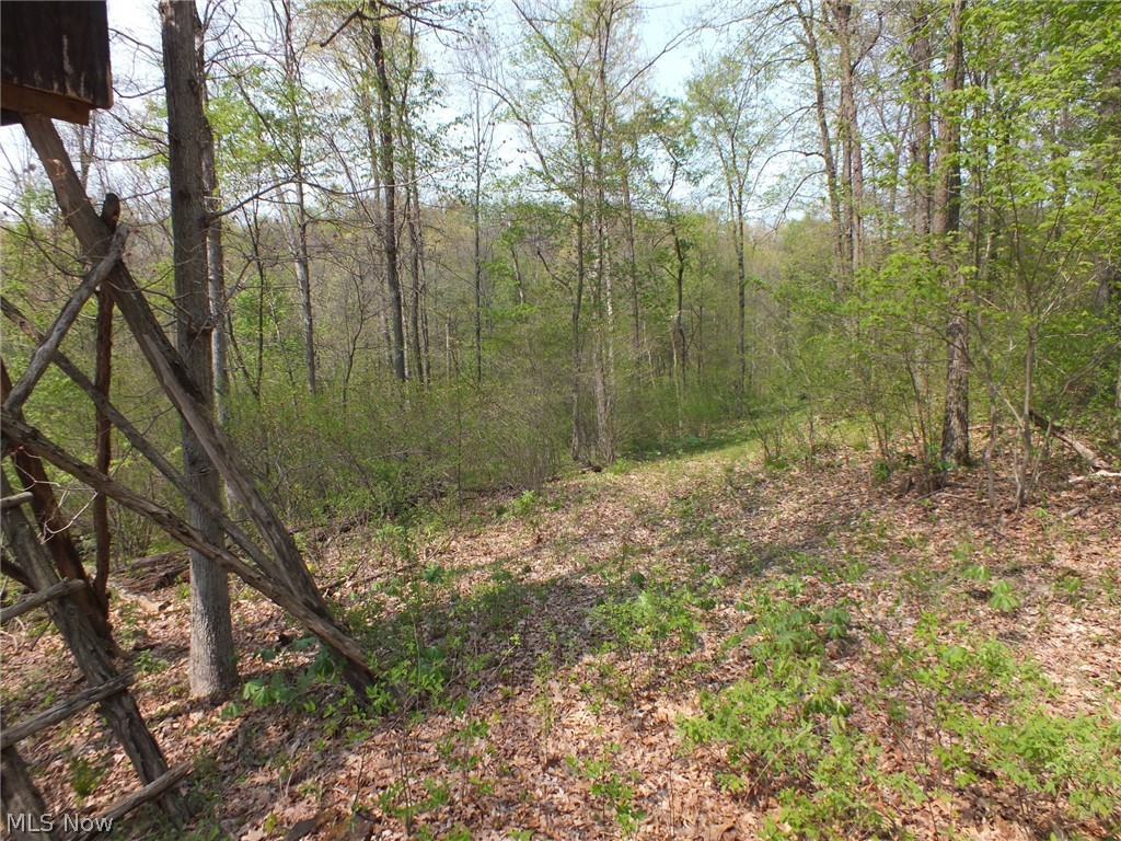 Brocade Road Amsterdam, OH 43903 - Photo 21 of 26 Gallery Image 21