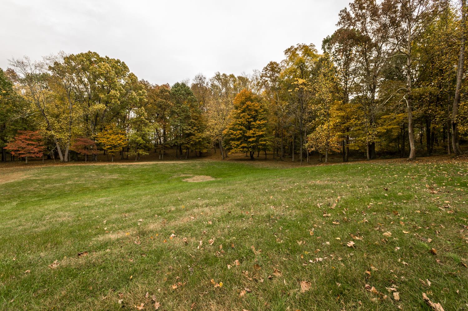 6161 Red River School Road Portland, TN 37148 - Photo 27 of 29 a view of a field with trees in the background