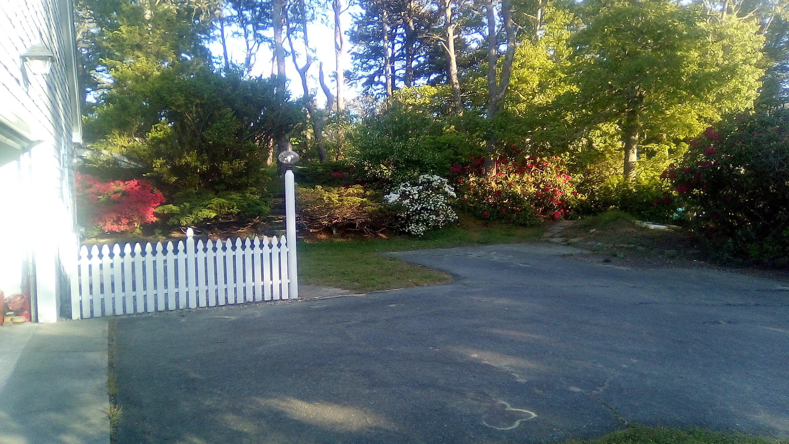 46 Chippingstone Road Chatham, MA 02633 - Photo 30 of 35 a view of a yard with large trees