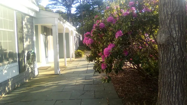 a view of a house with a tree and a yard