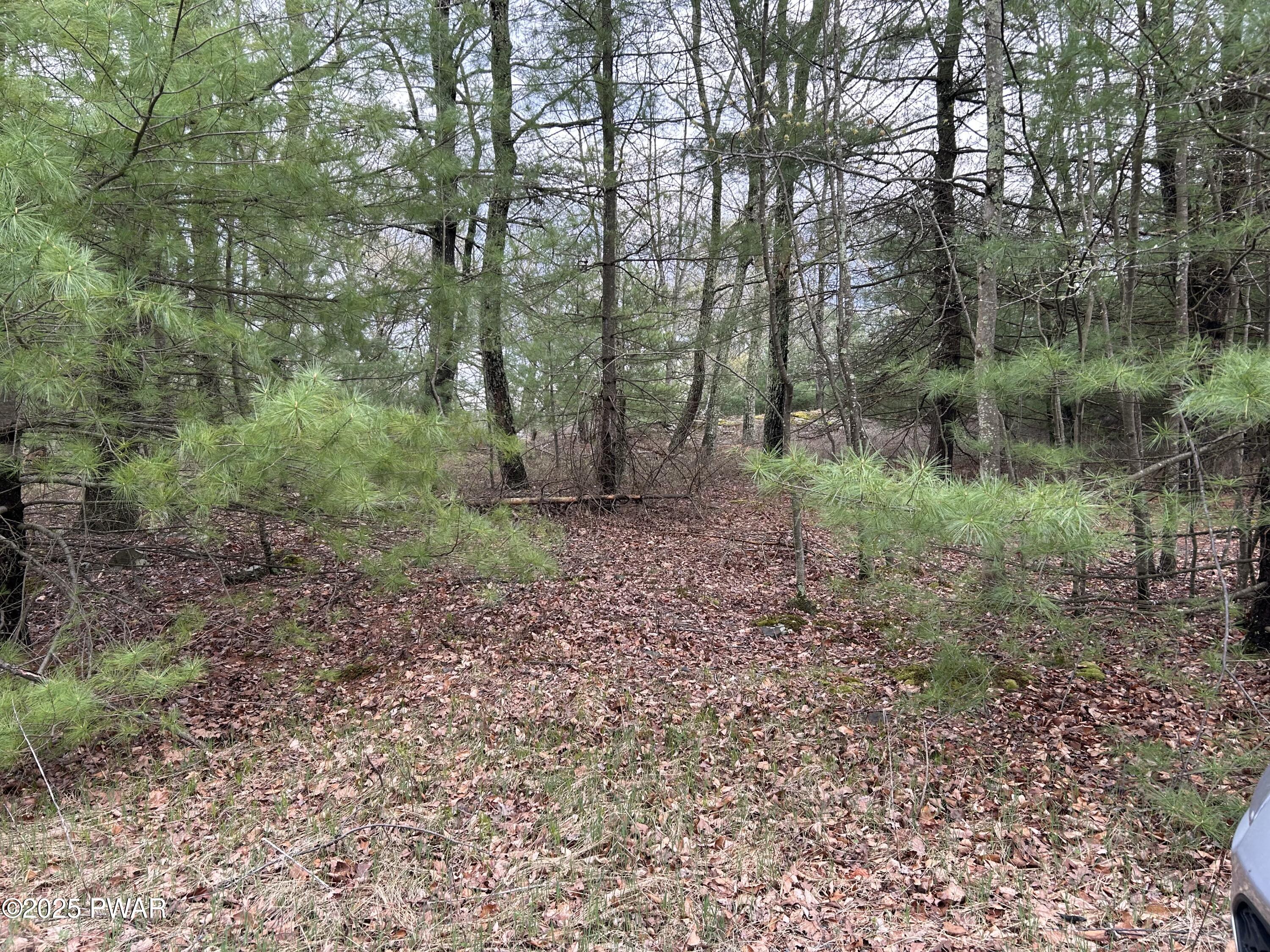 Lot 129 Pitch Pine Road Dingmans Ferry, PA 18328 - Photo 10 of 13