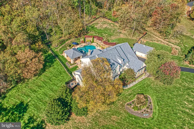 a view of a yard with plants