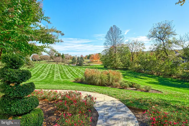 a view of a garden with a fountain