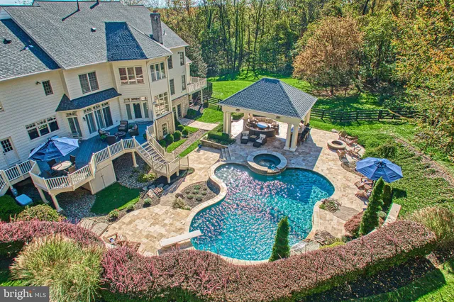 a view of a big yard with plants and large trees