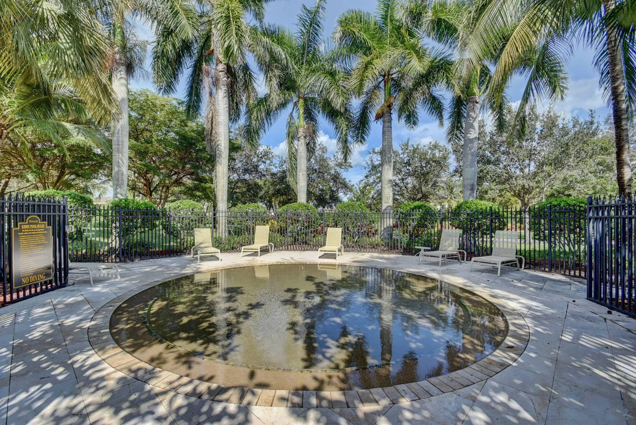3553 Collonade Drive Wellington, FL 33449 - Photo 71 of 76 a view of a backyard with palm trees