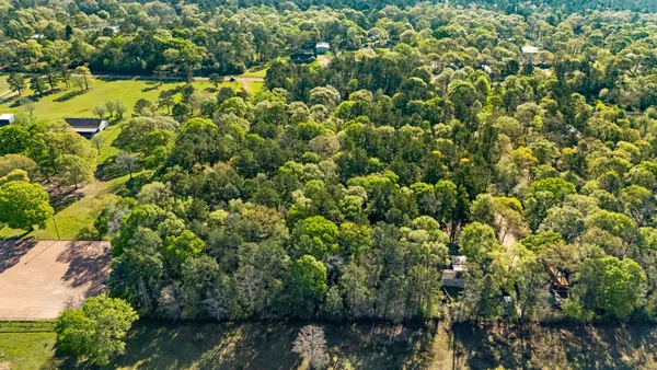 a view of a large yard with plants and large trees