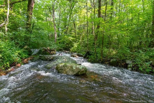 a view of a lush green forest with lots of trees