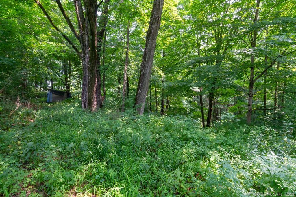 140 East Plymouth Road Terryville, CT 06786 - Photo 5 of 7 a backyard of a house with lots of green space