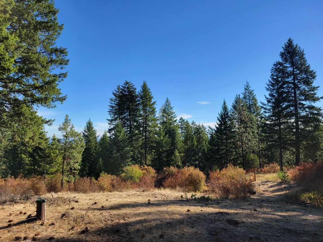 5220 Stanton Road Deer Park, WA 99006 - Photo 21 of 32 Gallery Image 21