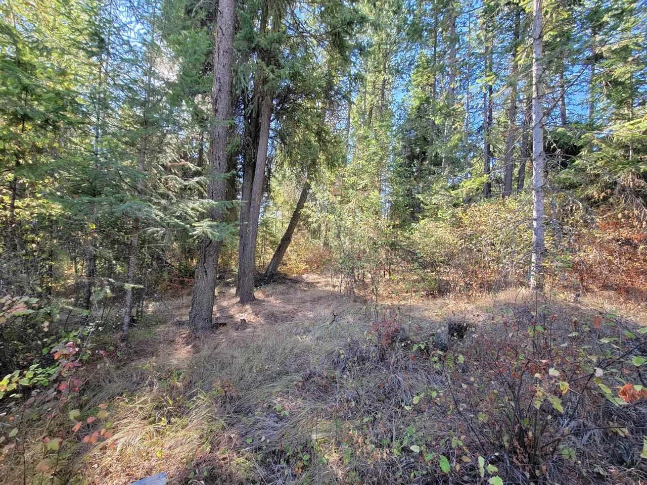 5220 Stanton Road Deer Park, WA 99006 - Photo 22 of 32 Gallery Image 22