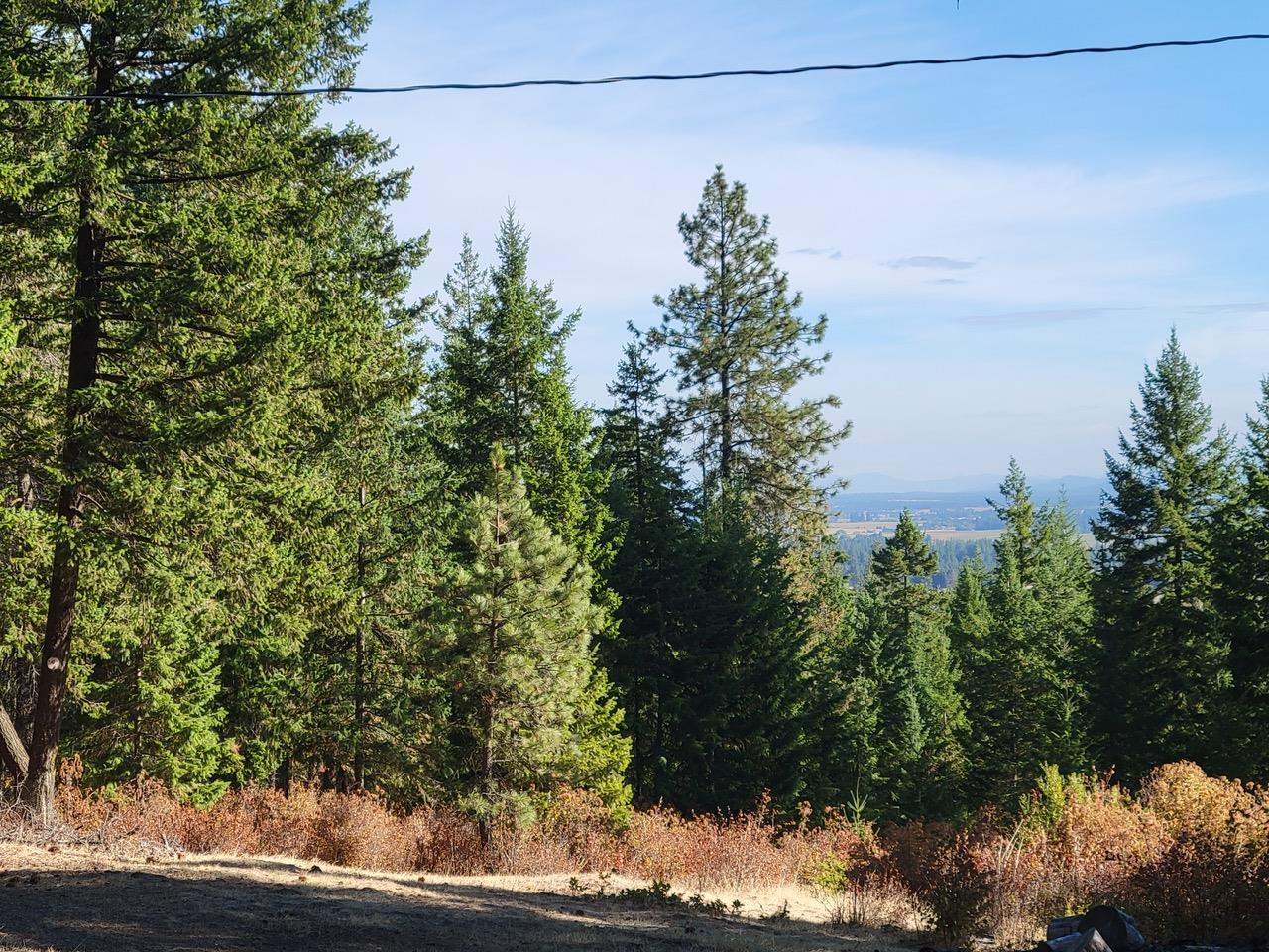 5220 Stanton Road Deer Park, WA 99006 - Photo 23 of 32 Gallery Image 23
