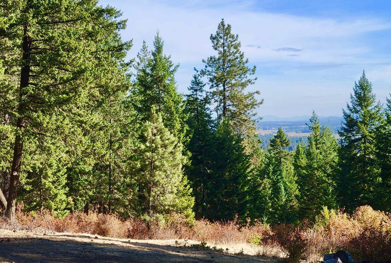5220 Stanton Road Deer Park, WA 99006 - Photo 26 of 32 Gallery Image 26