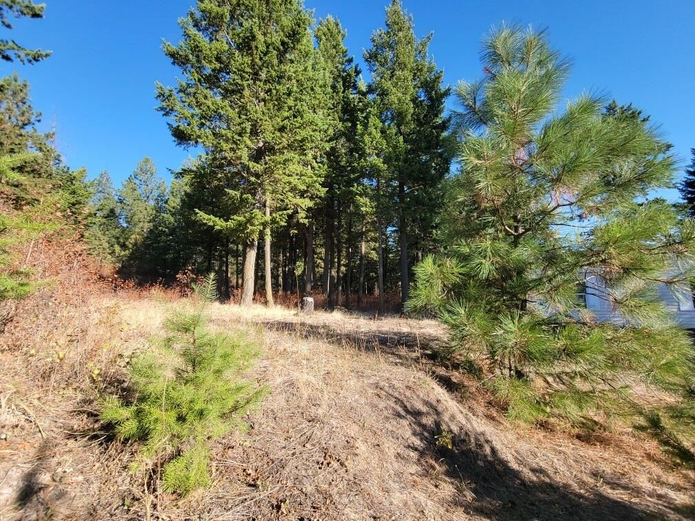 5220 Stanton Road Deer Park, WA 99006 - Photo 29 of 32 Gallery Image 29