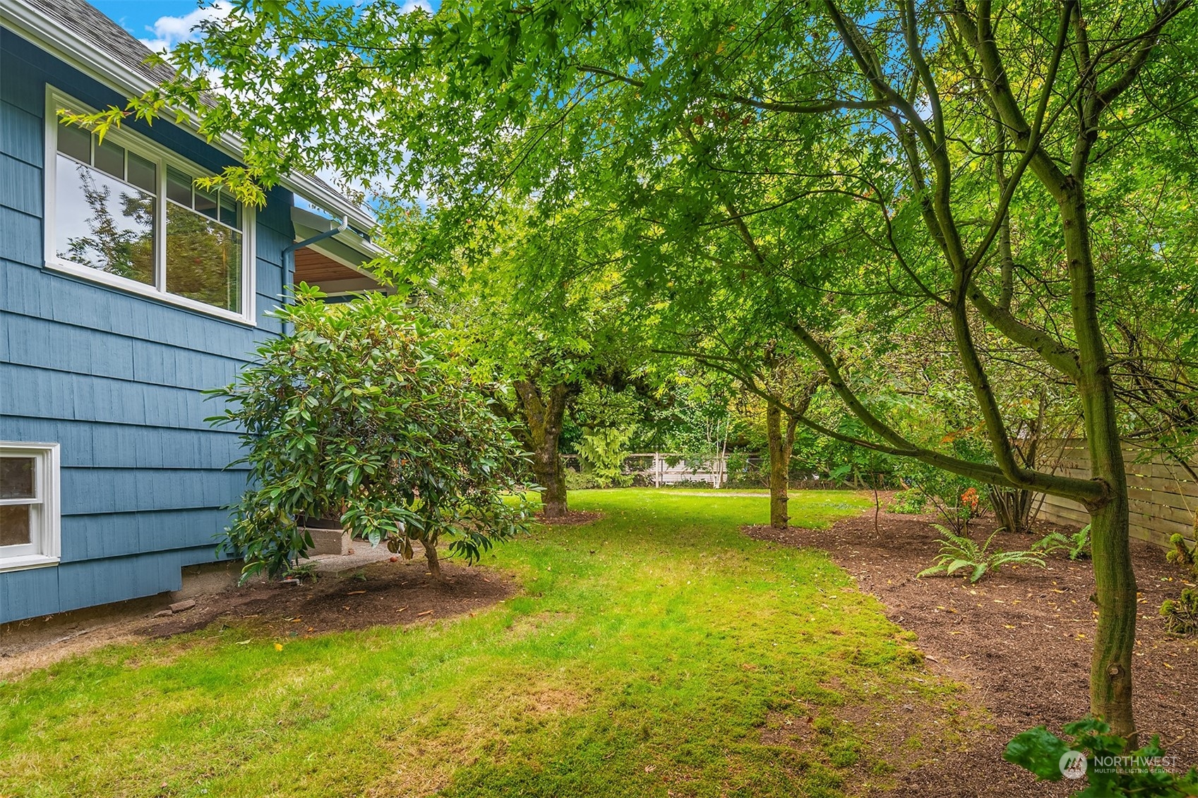 8752 Evanston Avenue North Seattle, WA 98103 - Photo 29 of 29 a view of a yard with an tree