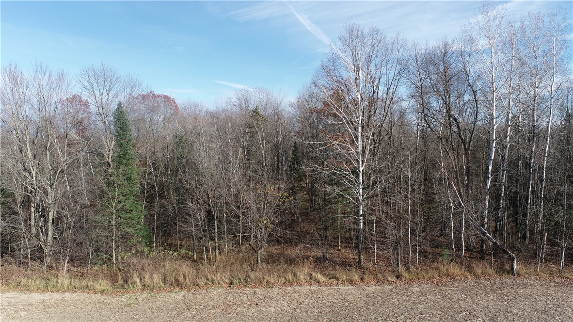 0 Willy Road Weyerhaeuser, WI 54895 - Photo 7 of 12