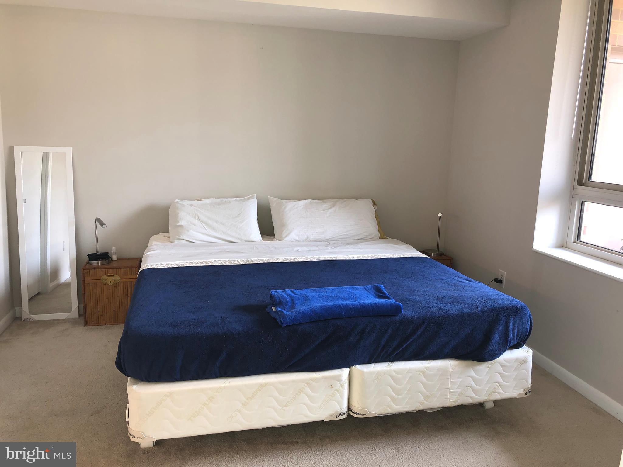 350 G Street Southwest, Unit N604 Washington, DC 20024 - Photo 11 of 17 Bedroom