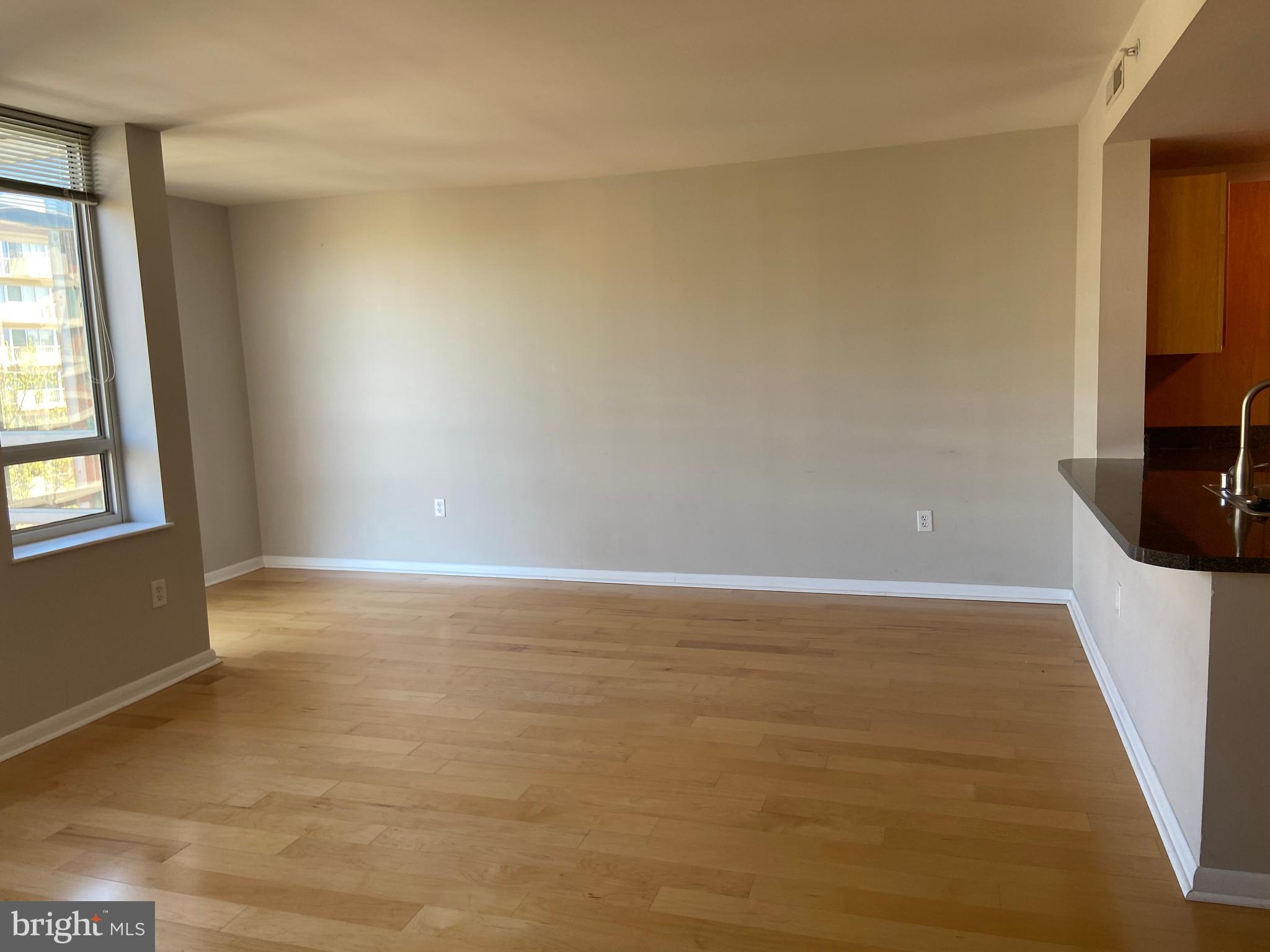 350 G Street Southwest, Unit N604 Washington, DC 20024 - Photo 8 of 17 Living Room