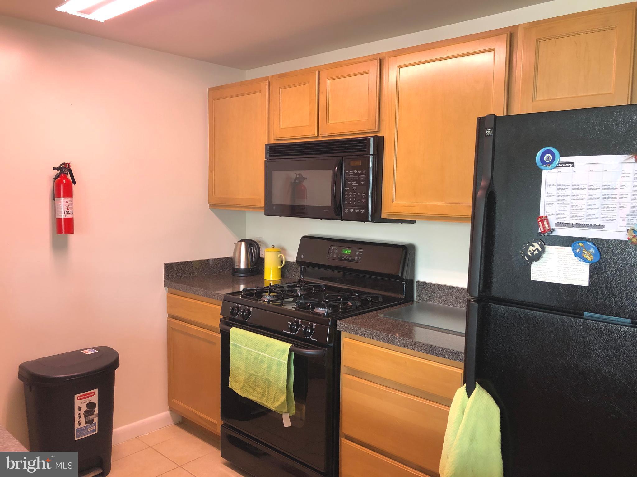 350 G Street Southwest, Unit N604 Washington, DC 20024 - Photo 9 of 17 Kitchen