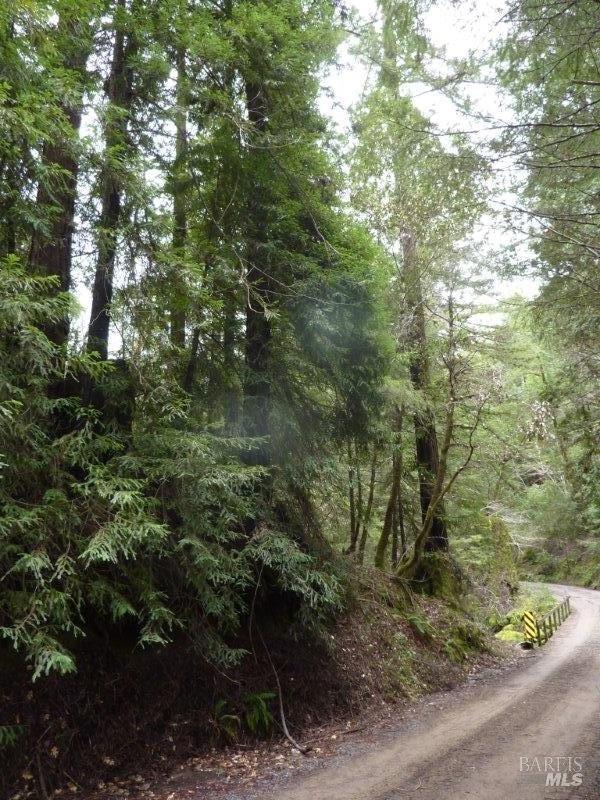 4225 Reeves Canyon Road Willits, CA 95490 - Photo 12 of 19 a view of a forest with a tree