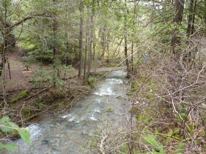 4225 Reeves Canyon Road Willits, CA 95490 - Photo 17 of 19 a view of a yard with large trees