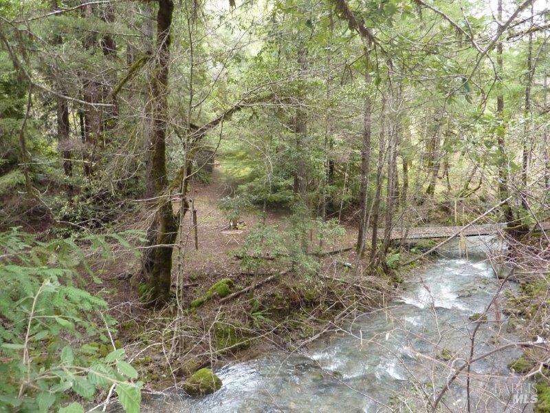 4225 Reeves Canyon Road Willits, CA 95490 - Photo 18 of 19 a view of a forest with lots of trees