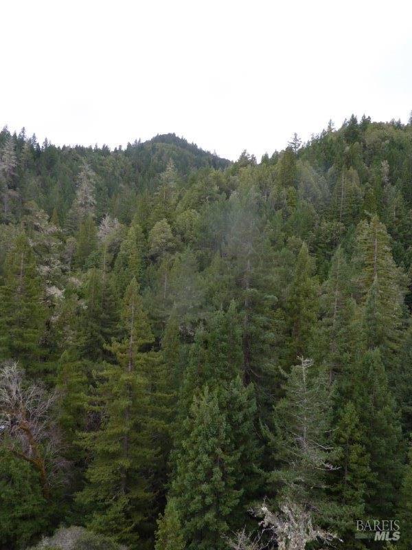 4225 Reeves Canyon Road Willits, CA 95490 - Photo 2 of 19 a view of a mountain in the distance in a field
