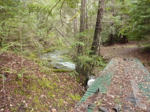 a close up of a plant in a garden
