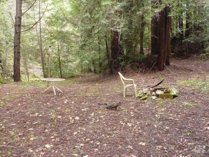 4225 Reeves Canyon Road Willits, CA 95490 - Photo 5 of 19 a backyard of a house with table and chairs