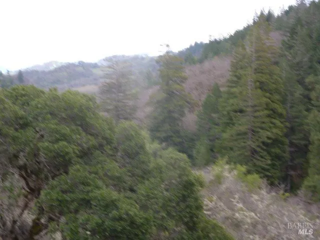 a view of a dry yard