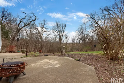 a view of a park with large trees
