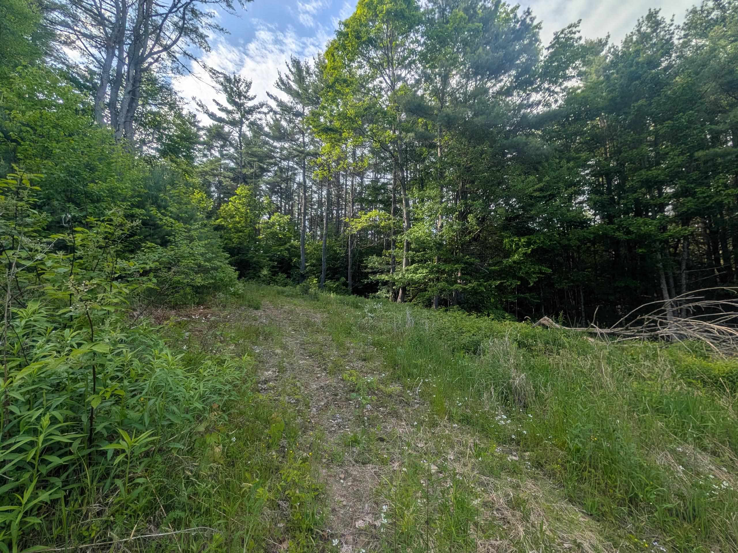 198 Quechee Road Hartland, VT 05048 - Photo 6 of 13