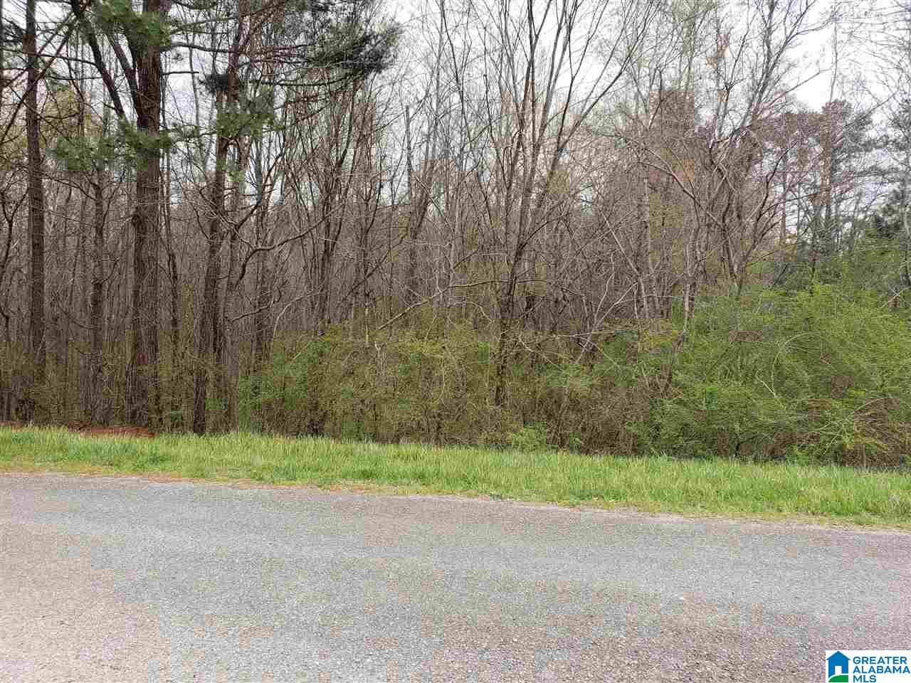 137 County Road 137 Delta, AL 36258 - Photo 2 of 3