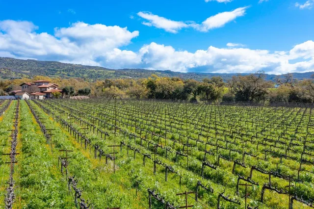 $8,500,000 | 4054 Silverado Trail, Napa, CA 94558